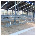 Hot Galvanized Free Stall Barn ISO9001 Free Stall Loops