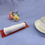 Alcohol Free Travel 15g wet towel