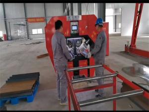 China Punching Thickness 10mm Punch Shear Machine For C Channel Steel 3500kg Frequency 50Hz factory