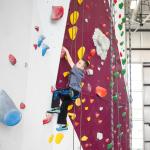 Indoor Bouldering Adult Rock Climbing Wall Various Climbing Holds For Sports