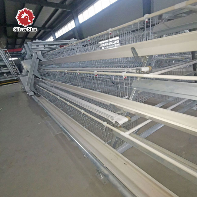 Poultry A Type Layer Chicken Cage Anti Corrosive Galvanized