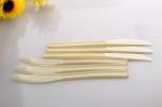 Disposable plastic knife for Sweet food bread cake knife fruit knife