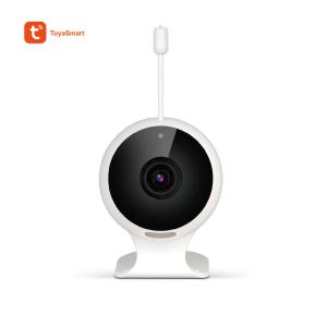 China 1080p Indoor Baby IP Camera(IPC163) factory