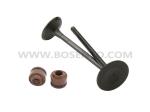 Motorcycle Engine Parts Valve Inlet Exhaust Set for Honda KTT CBF150