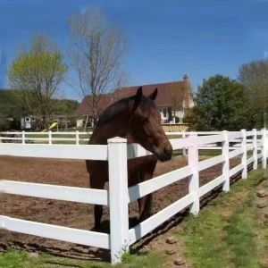 China 1.2m White PVC Horse Farm Fence with 3 Rails on sale