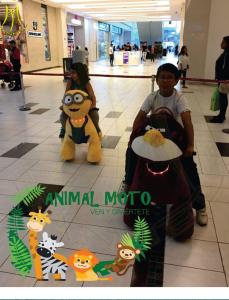 China Hansel family events for rent ride on unicorn on 4 Wheels ride on animal toy bear factory