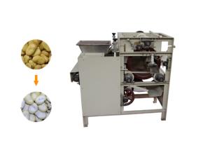 China 150kg/H Automatic Food Processing Machines Wet Way Cashew Peanut Peeling Machine factory
