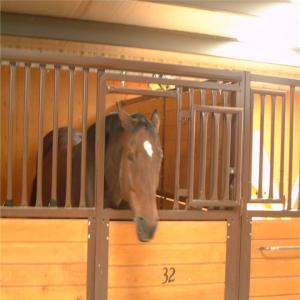 China Bamboo Board Metal Horse Fence Stable Panel With Durable Sliding Door factory