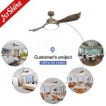 Color Changing Large Airflow Led Light Ceiling Fan Low Noise 2 Blades