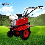Belt Type Small Gas Cultivator 7HP Mini Power Tiller For Agriculture