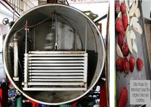 China 300Kg Remote Control Industrial Dry Freezer Machine factory