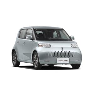 China ORA White Cat Mini EV Cars Family Girl New Energy Vehicle 102km/H factory