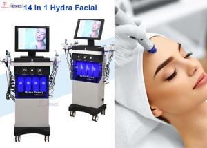 China 14 In 1 Hydra Facial Machines Oxygen Diamond Dermabrasion Jet Peel Hydro Machine factory