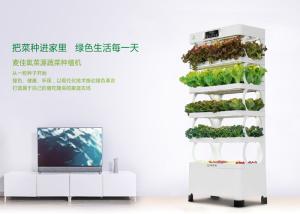 China 220W Indoor Smart Hydroponics System Vertical Farming Environmental Friendly factory