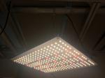 SMD 5730 730nm Quantum Led Grow Lights For Fruit