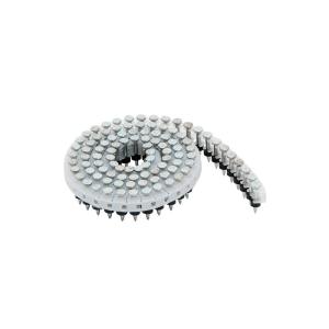China Hardened Concrete Coil Nails 2.5 x 19mm Electro Galvanized Plastic Sheet HN25C factory