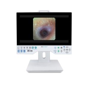 China 15 Inch FHD Camera System Compatible Flexible And Rigid Endoscope Professional Manufacturer factory