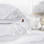 Hotel Textile 100% Cotton Hotel Bedding Sets Duvet Cover Set Geometric Pattern