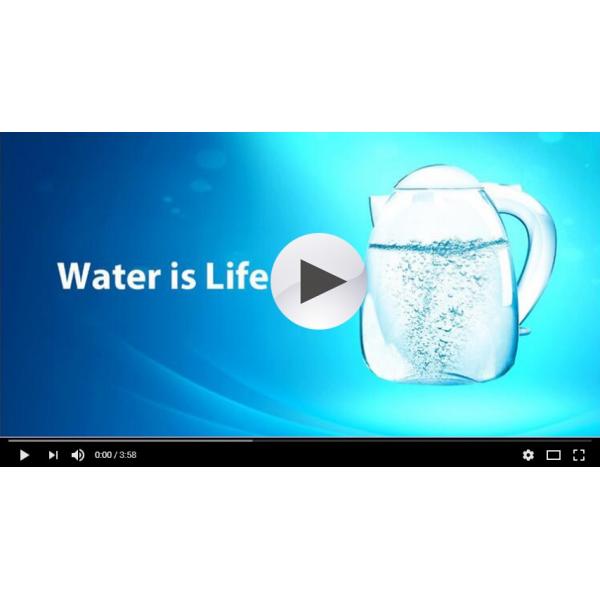 1.5L/1.8L Painted Pink Stainless Steel Electric tea Water Kettle