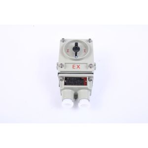 China AC220V/380V AC 50/60HZ Rated Voltage Explosion Proof Switch with IEC Certification and 10A Rated Current factory