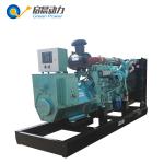 Back up Gas Generator Green Power Propane Generator for Sale