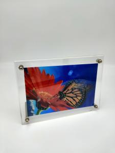 China Display Shelf Acrylic Stand Figures , 180mm Acrylic Picture Frame Holder factory