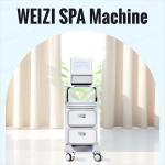 Anti Radical Hydrogen Water Bath Generator WEIZI DC12V For Hydrogen SPA