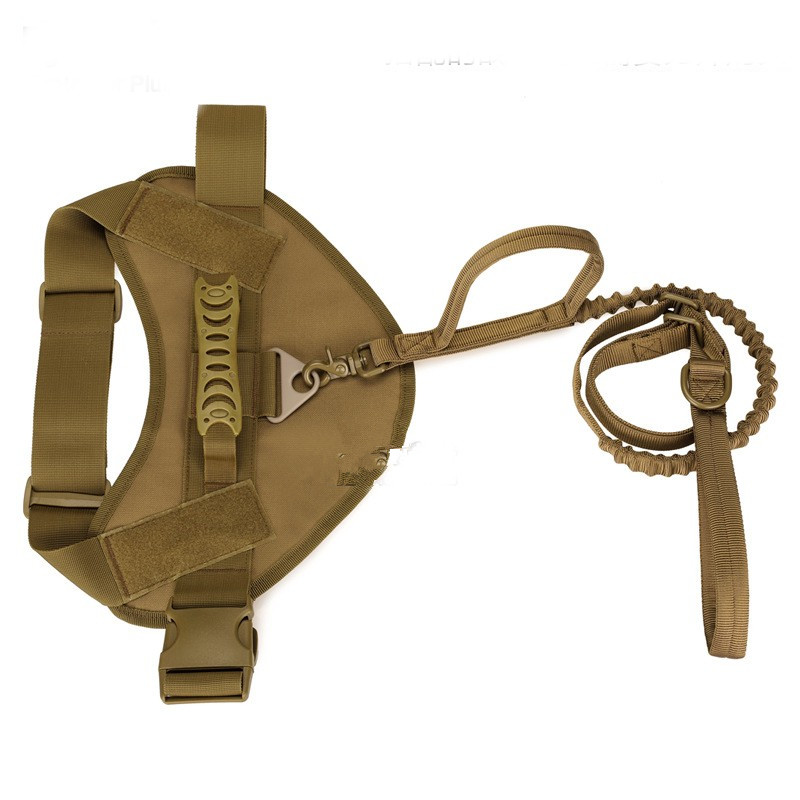 outdoor cat leash
