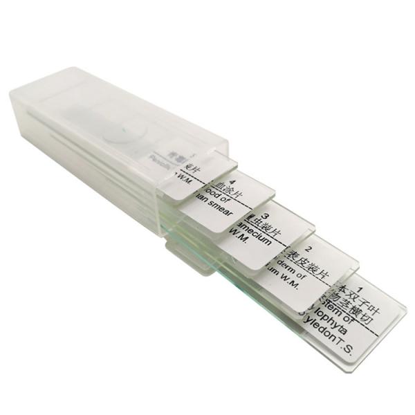 China School Students Learning 5pcs Histology Glass Slides In Plastic Box factory