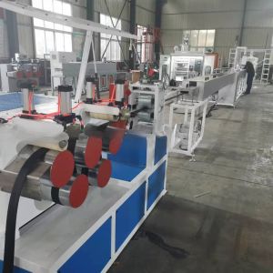 Pet Bottle Flake Plastic Extruder for Customized PE Fiber Strapping Band