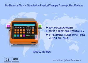 China Non Surgical Muscle Sculpting Ems Muscle Stimulation Machine Body Shaping Trusculpt Flex on sale
