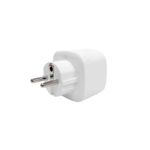 China Mini Smart Plug 10A/16A factory