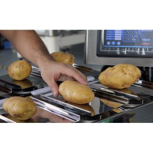 MCU Control 10WPM Fruit And Vegetable Packaging Machine Combination Scale