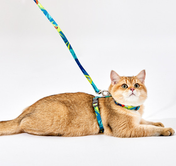custom cat harness