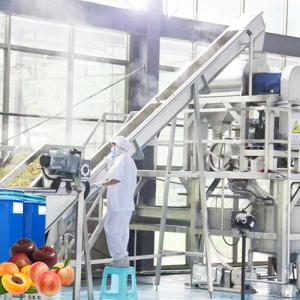 China Professional Peach Processing Plant Plum Concentration Processing Line factory