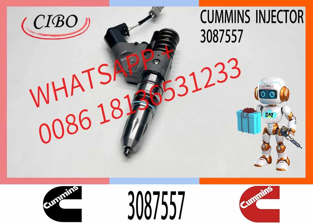 Common Rail Injector Fuel Injector 3411756 3083849 3087557 4307516 For M11 Excavator