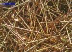 Corrugated Roofing Nails Hardware Building Construction Umbrella Galvanised