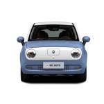 ORA BLACK CAT Mini EV Cars 4 Wheels Adult Rhd Electric Car Smart CE