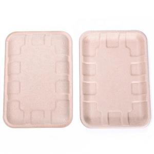 China Biodegradable Bagasse Sugarcane Food Tray Fruits Vegetables Disposable Party Tray factory