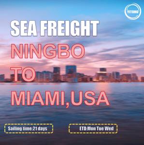 China MSC EMC Liner International Sea Freight Solutions From Ningbo To Miami USA factory