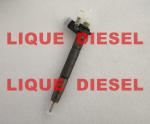 BOSCH Common rail injector 0445116041 35062005F 0 445 116 041 350 620 05F