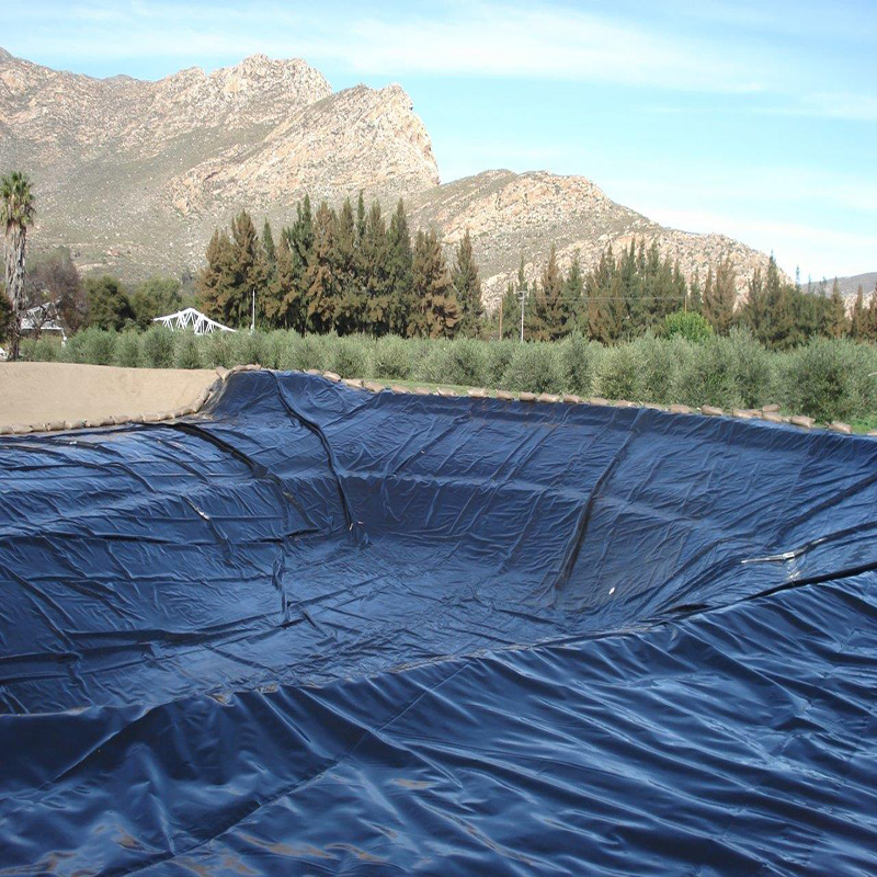 Green Geomembrane for Waterproof Artificial Lake Tank Dam Lining HDPE Customized