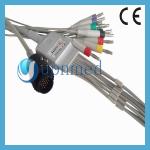 Kanz PC-104 10 Lead EKG cable,Banana 4.0