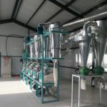 Electric Roller Durum Wheat Flour Mill Grinder Milling Machine in Ghana