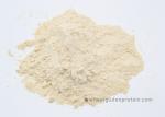 Vital Wheat Gluten Pure Gluten Powder Light Yellow Color 24 Months Shelf Life