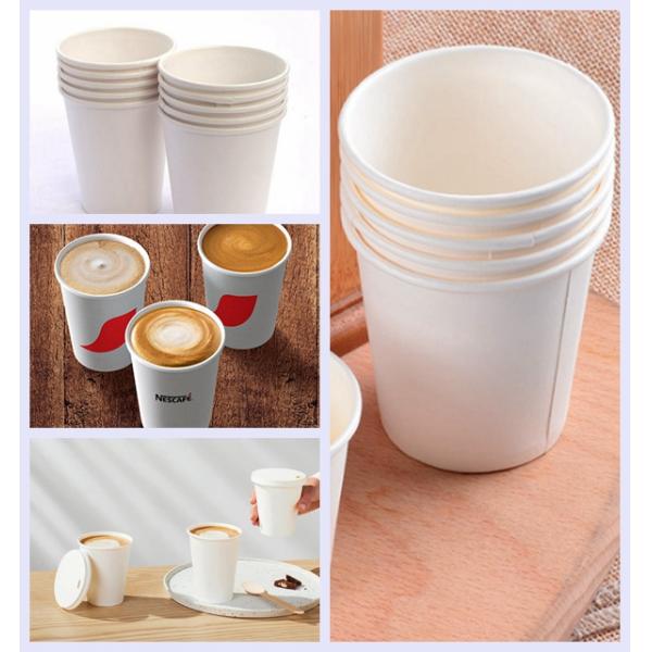 PE coated cupstock paper Single PE Coated Cupstock Paper GSM 220g 260g Rolls 910mm Width