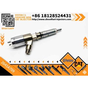 Excavator Parts C6 Engine Injector 320-0680 2645A709 295-9130 382-0480 282-0490