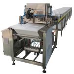One Depositor 600mm Chocolate Chip Making Machine