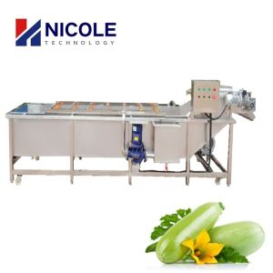 Multifunctional Fruit Vegetable Washing Machine Automatic Belt Conveyor