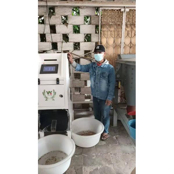 Green Roasted Coffee Bean Sorting Machine Mini 32 Channels